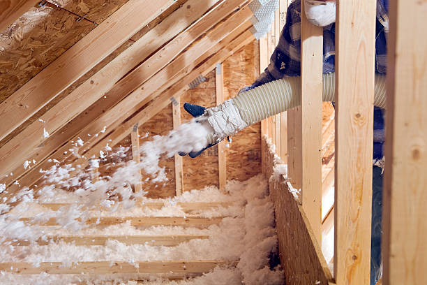 Best Insulation for New Construction  in Saukville, WI